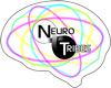 NT Logo 100x80